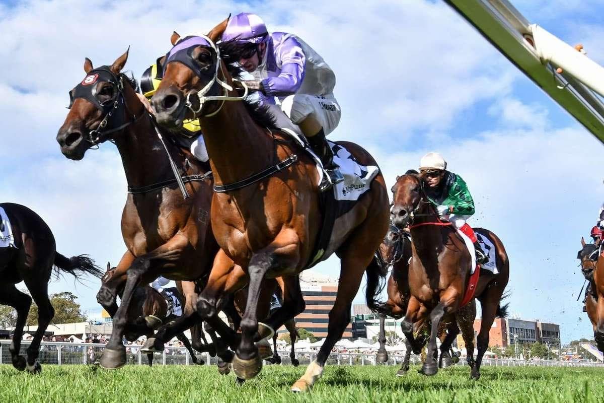 Picture of the author